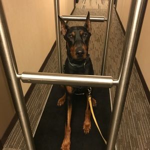 Meet your Posher, Jill